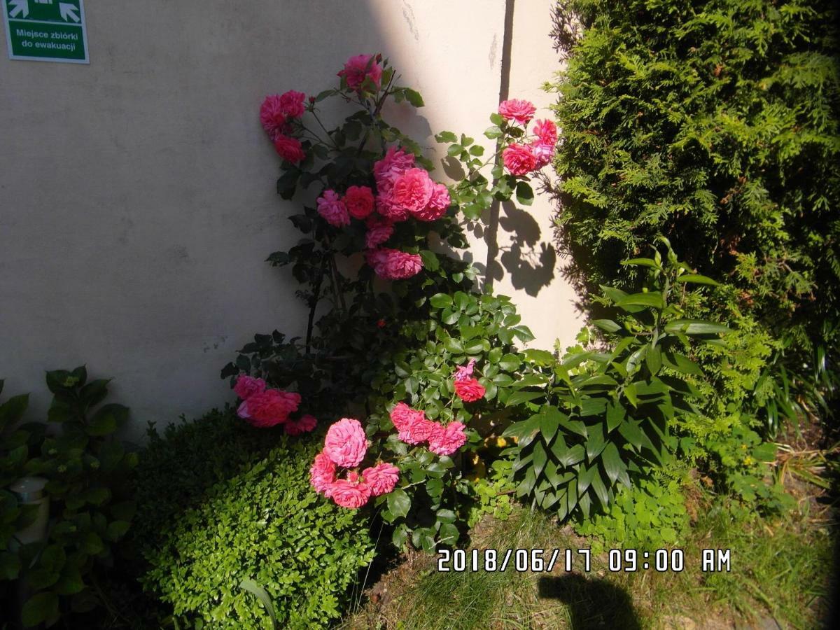 Iwona Hostel - Budget Rooms With Private Bathrooms 索波特 外观 照片